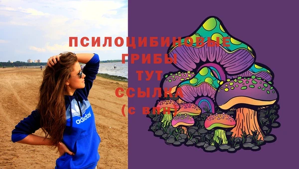 тгк Беломорск