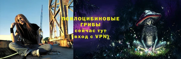 круглые Белокуриха
