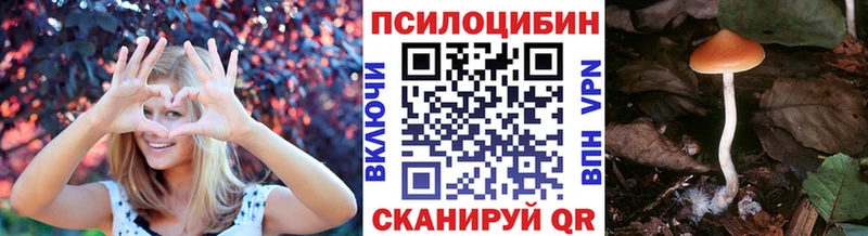Галлюциногенные грибы Psilocybine cubensis  где купить наркоту  Томмот 